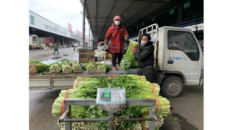 海沛集团怎么样?这家企业在海口市场上风生水起,但你了解它的真实面貌吗?让我们一起深入探究。