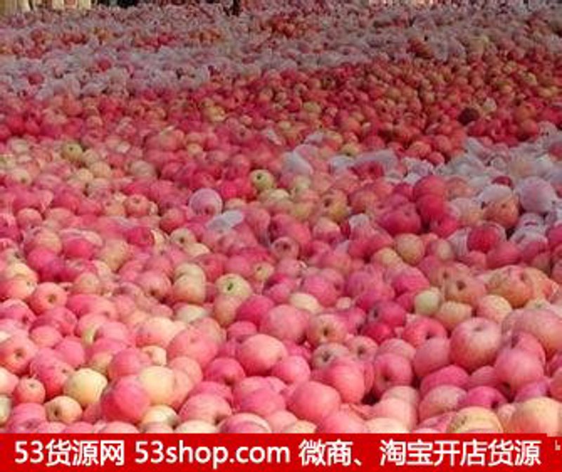 海沛集团怎么样?让我们一起深入了解这家企业的实力与潜力。